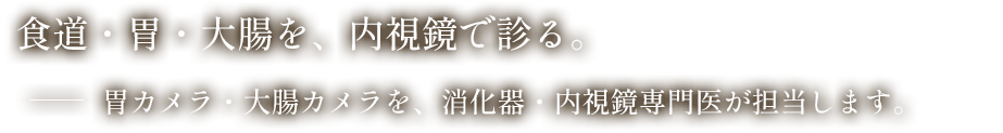 食道・胃・大腸を、内視鏡で診る。胃カメラ・大腸カメラを、消化器・内視鏡専門医が担当します。