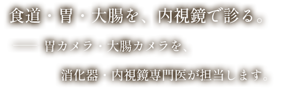 食道・胃・大腸を、内視鏡で診る。胃カメラ・大腸カメラを、消化器・内視鏡専門医が担当します。