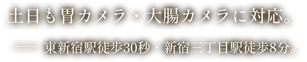 土日も胃カメラ・大腸カメラに対応。東新宿駅徒歩30秒・新宿三丁目駅徒歩8分。