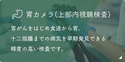 胃カメラ(上部内視鏡検査)