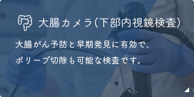 大腸カメラ(下部内視鏡検査)